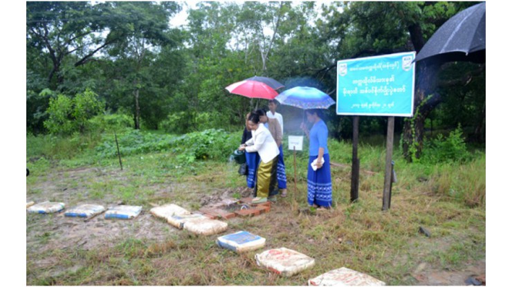 သမဝါယမတက္ကသိုလ်(သန်လျင်)တွင် မိုးရာသီသစ်ပင်စိုက်ပျိုးပွဲတော် ကျင်းပ